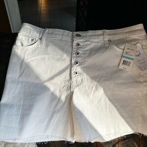 NWT Ella Moss White Button Fly Shorts 12